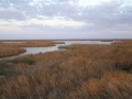 colorado-river-delta-1