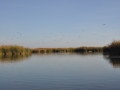 colorado-river-delta-3